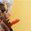 Handyman repair service in Yonkers, NY for home fixes and improvements